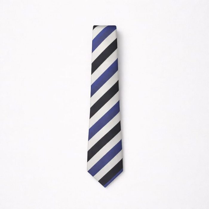 Classic Striped Tie & Pocket Square Set For Men – Royal Blue — image 1