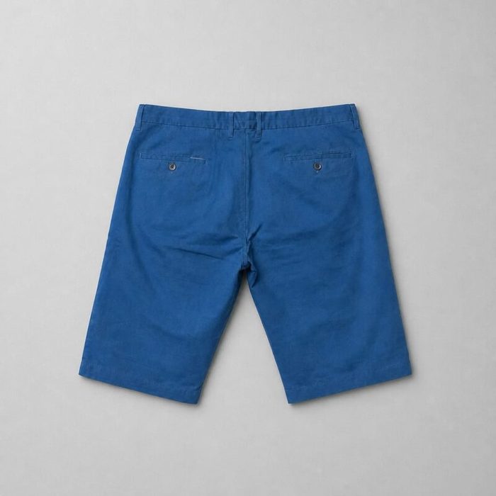 Paulata Smith Mens Chino Shorts Blue